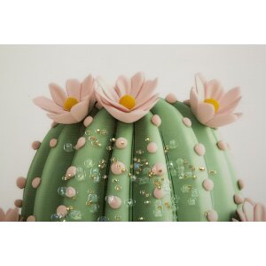 Mauro Ferretti Cuadro lienzo con marco Cactus en flor 40x2,8x40 cm