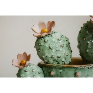 Mauro Ferretti Cuadro con marco Cactus en taza 40x2,8x40 cm