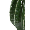 Mauro Ferretti Jarron Esfera Cactus Ø 23,5x24,5 cm