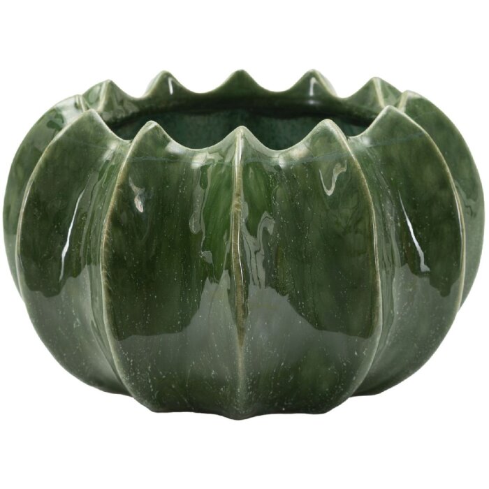 Mauro Ferretti Maceta Cesto Cactus Ø 22x13,5 cm