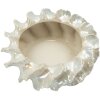 Mauro Ferretti Maceta decorativa Perly 43x16 cm