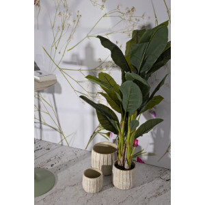 Mauro Ferretti Set de macetas Flocke 3 piezas 30,5x27 / 25x22,2 / 19,5x18 cm crema
