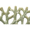 Mauro Ferretti Bol Coral Ø 35x13 cm verde