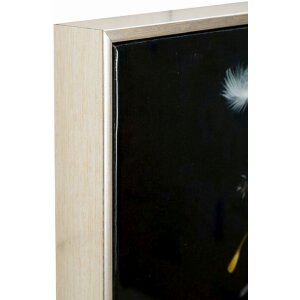 Mauro Ferretti Cuadro Tanza con Marco 72x4x102 cm