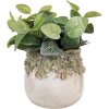 Maceta Clayre & Eef con Decoración de Hojas de Roble Beige Verde Ø19x17 cm