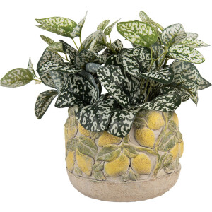 Maceta Clayre & Eef con motivo de limones Ø 19x15 cm piedra mediterránea