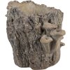 Maceta Clayre & Eef 6TE0577M Braun Beige 24x18x18 cm Aspecto piedra
