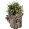 Maceta Clayre & Eef 6TE0577M Braun Beige 24x18x18 cm Aspecto piedra