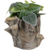 Maceta decorativa Clayre & Eef 6TE0577S Marrón Beige 19x17x16 cm Aspecto de piedra natural