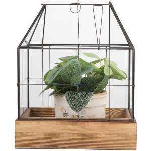 Clayre & Eef 6GL5363 Decoración Mini Invernadero 26x17x32 cm
