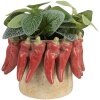 Maceta Clayre & Eef 6TE0579M Ø 17x13 cm Beige Rojo Terracota