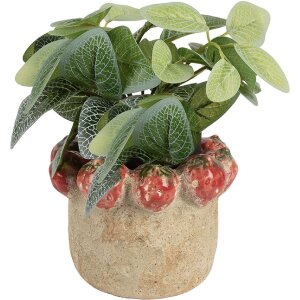 Maceta Clayre & Eef 6TE0588M de Terracota Ø...