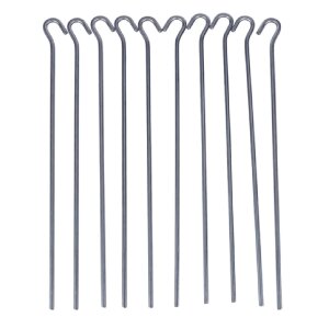 Clavos de acero BUTEO PHOTO GEAR 30 cm - Pack de 10