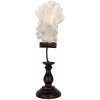 Clayre & Eef 6PR5586 Decoración Pájaro 15x11x36 cm
