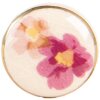 Pomo de puerta Clayre & Eef 66277 Beige Rosa Ø3x3 cm