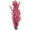 Rama decorativa con flores Clayre & Eef 5PL0168P 15x10x100 cm Rosa