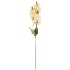 Ramo decorativo con flores Clayre & Eef 5PL0190BE 10x7x74 cm Beige y Verde