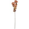 Ramo decorativo con flores Clayre & Eef 5PL0193LP 10x8x76 cm Rosa