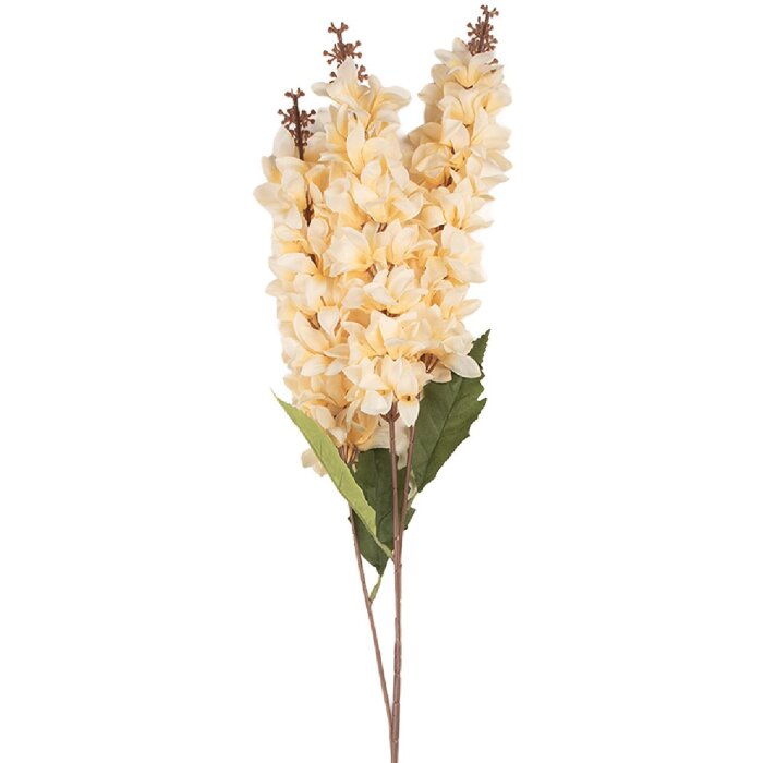 Rama decorativa con flores Clayre & Eef 6PL0398BE 8x6x85 cm Beige-Verde
