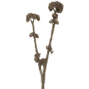 Rama decorativa con flores Clayre & Eef 6PL0399G Gris Verde 6x6x58 cm