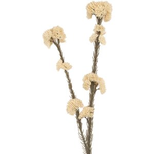 Ramo decorativo con flores Clayre & Eef 6PL0399W 6x6x58 cm