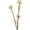 Ramo decorativo con flores Clayre & Eef 6PL0399W 6x6x58 cm