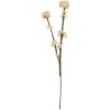 Ramo decorativo con flores Clayre & Eef 6PL0399W 6x6x58 cm