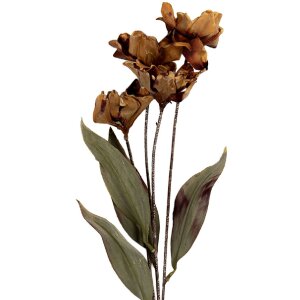Ramo decorativo con flores Clayre & Eef 6PL0403BR 8x5x60 cm Marrón