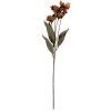 Ramo decorativo con flores Clayre & Eef 6PL0403BR 8x5x60 cm Marrón