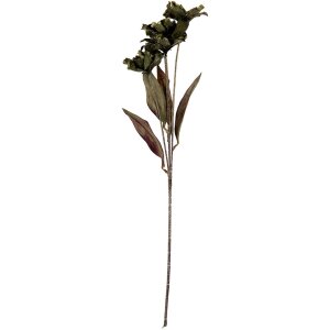 Clayre & Eef 6PL0403GR Ramo decorativo con flores 8x5x60 cm Verde
