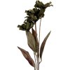 Clayre & Eef 6PL0403GR Ramo decorativo con flores 8x5x60 cm Verde