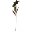 Clayre & Eef 6PL0403GR Ramo decorativo con flores 8x5x60 cm Verde