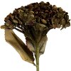 Ramo decorativo con flores Clayre & Eef 6PL0404GR Verde 15x15x47 cm
