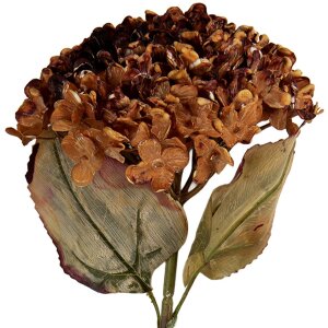 Rama Decorativa con Flores Clayre & Eef 6PL0404R 15x15x47 cm
