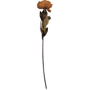 Flor artificial Clayre & Eef 6PL0405BR 10x10x65 cm Marrón y Verde