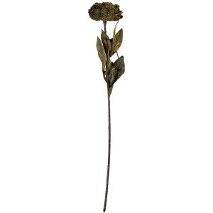 Flor artificial Clayre & Eef 6PL0405CH 10x10x65 cm