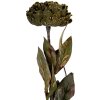 Flor artificial Clayre & Eef 6PL0405CH 10x10x65 cm