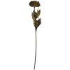 Flor artificial Clayre & Eef 6PL0405CH 10x10x65 cm