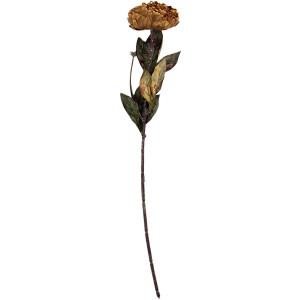 Flor artificial Clayre & Eef 6PL0405DY Amarillo-Verde 10x10x65 cm
