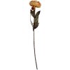 Flor artificial Clayre & Eef 6PL0405O 10x10x65 cm Naranja y Verde