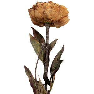 Flor artificial Clayre & Eef 6PL0405Y 10x10x65 cm Amarillo Verde