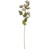 Rama decorativa con flores Clayre & Eef 6PL0409G 10x10x63 cm Gris-Verde