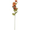 Ramo decorativo con flores Clayre & Eef 6PL0409O 10x10x63 cm
