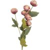 Rama decorativa con flores Clayre & Eef 6PL0409P 10x10x63 cm