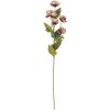 Rama decorativa con flores Clayre & Eef 6PL0409PA 10x10x63 cm Violeta