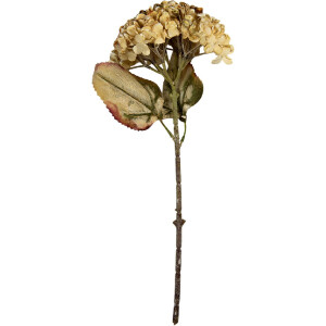 Clayre & Eef 6PL0404BE Ramo decorativo con flores 15x15x47 cm Beige-Verde