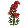 Rama decorativa con flores Clayre & Eef 5PL0191R 10x10x72 cm Rojo y Verde
