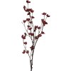 Flor artificial Clayre & Eef 5PL0202PA Violeta y Marrón 8x8x110 cm