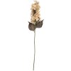 Clayre & Eef 6PL0396BE Rama decorativa con flores 8x8x72 cm Beige-Verde