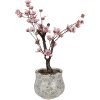 Clayre & Eef 6CE2240S Maceta Ø 15x13 cm Verde Gris Cerámica